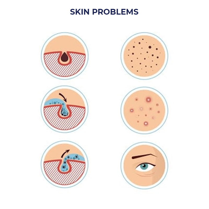 Dermatology2